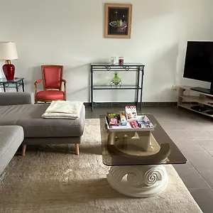 Pres De Lyon, Elegance Et Confort Pour Cet Avec Terrasse Appartement